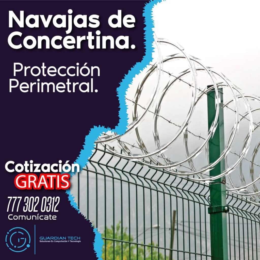 Imagen de WhatsApp 2025-01-13 a las 11.23.39_4b4d871e